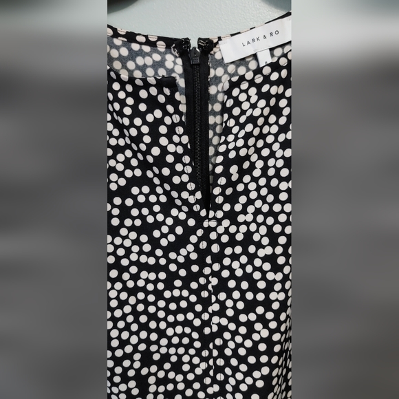 Lark & Ro Polka Dot Shift Dress Size 8 NWT - Picture 4 of 7